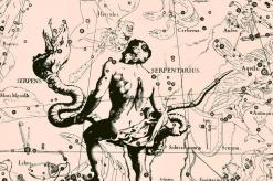 Тринадцатый знак зодиака змееносец: гороскоп, характеристика, совместимость С какого числа начинается змееносец